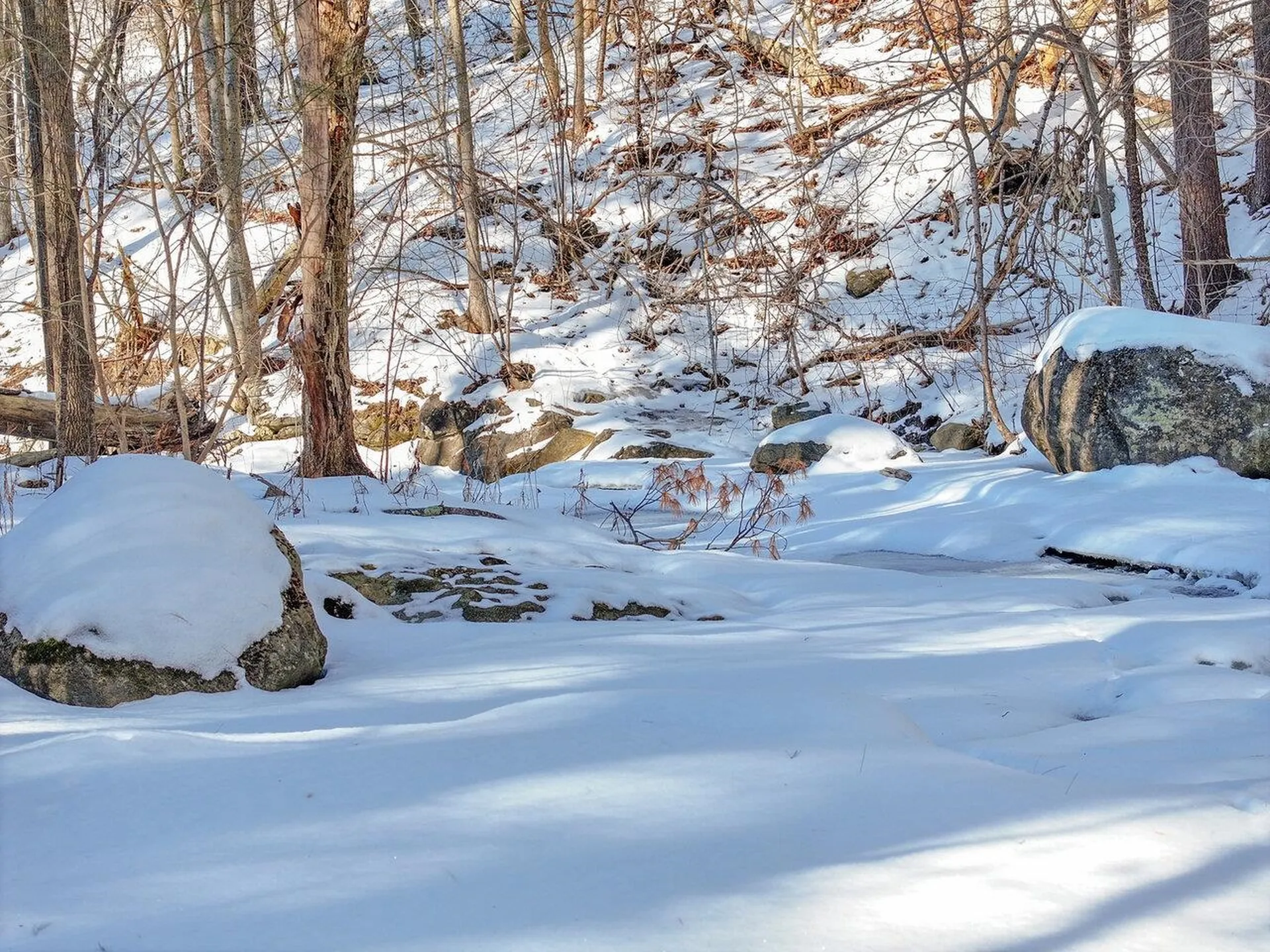 88 Susie Wilson Road Essex VT 05452