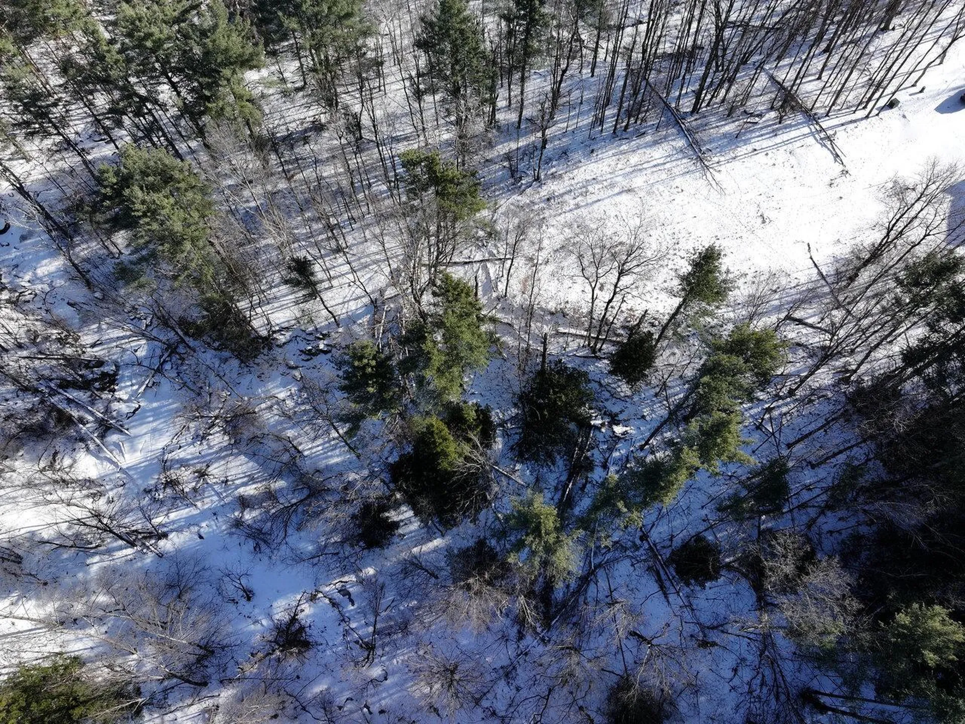 88 Susie Wilson Road Essex VT 05452