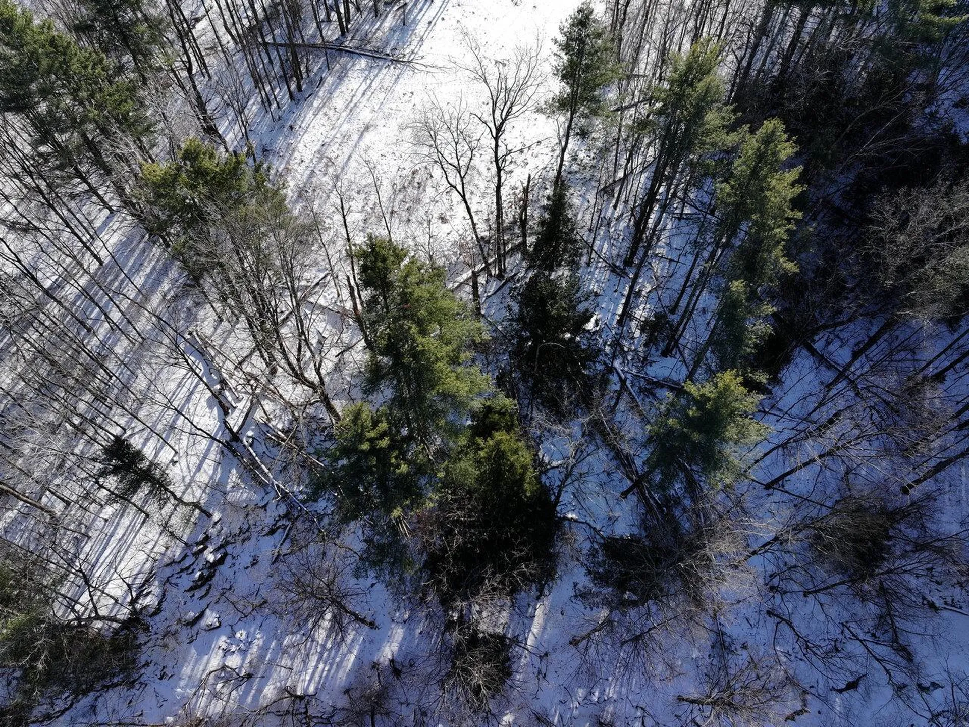 88 Susie Wilson Road Essex VT 05452