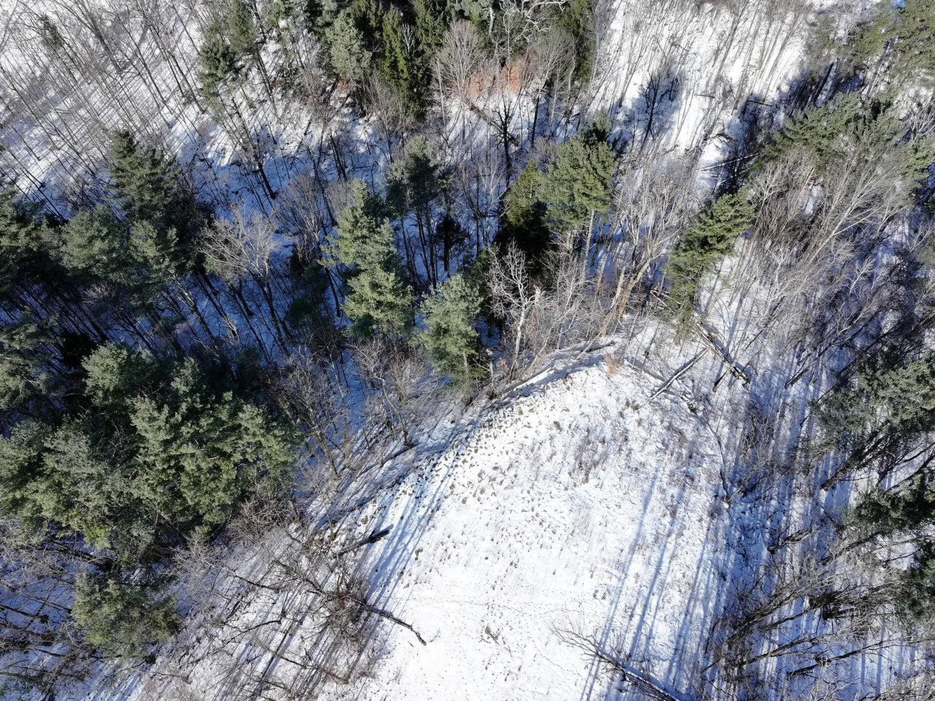 88 Susie Wilson Road Essex VT 05452