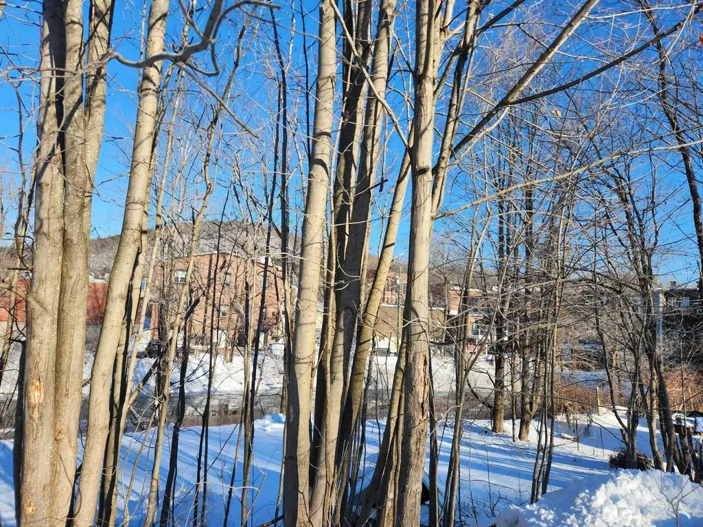 30 Beech Street Bristol NH 03222