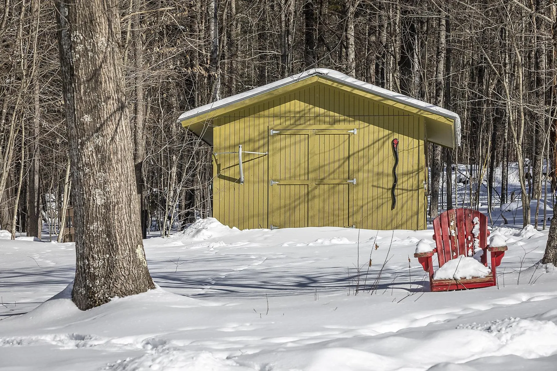 95 White Pines Road Reading VT 05153