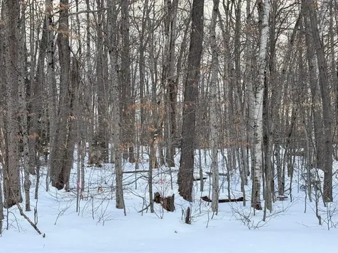 10 Little Brook Road Winhall VT 05340