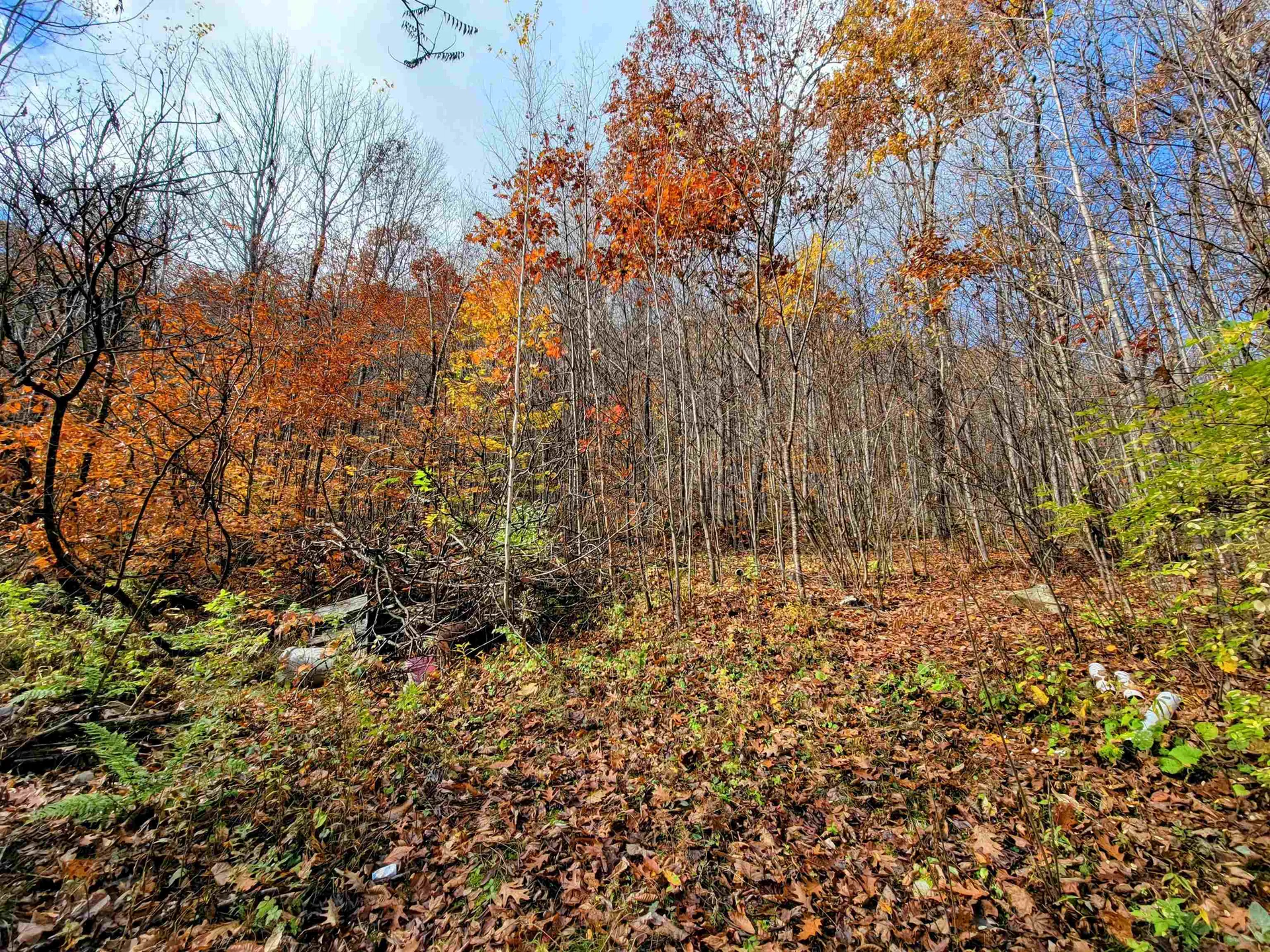 122 Sandy Meadow Drive Brandon VT 05733