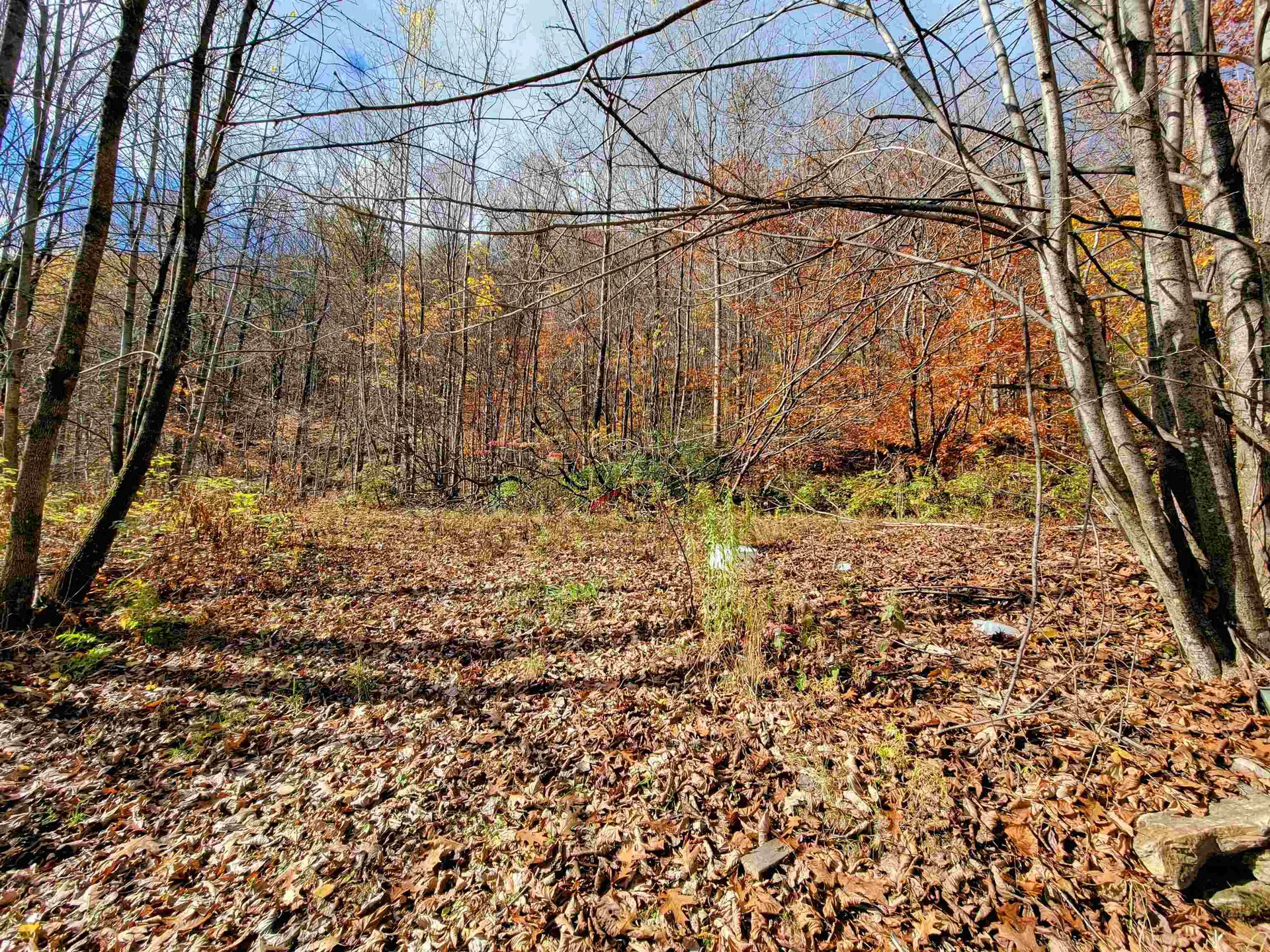 122 Sandy Meadow Drive Brandon VT 05733