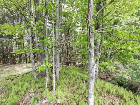 555b Gould Hill Johnson VT 05656