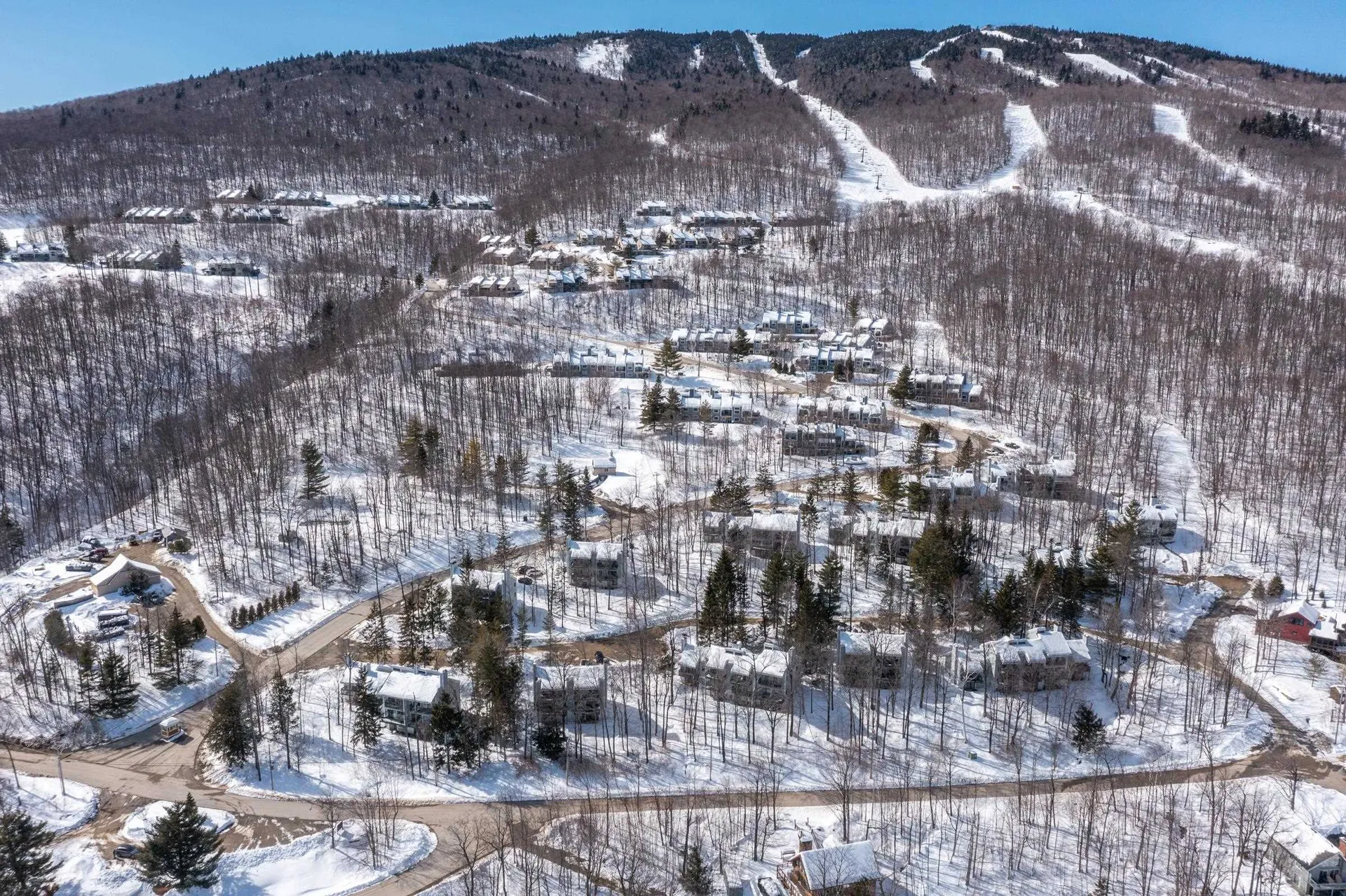 67 Okemo Trailside Extension Ludlow VT 05149