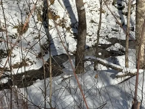 0 Whitcomb Hill Road Stockbridge VT 05772