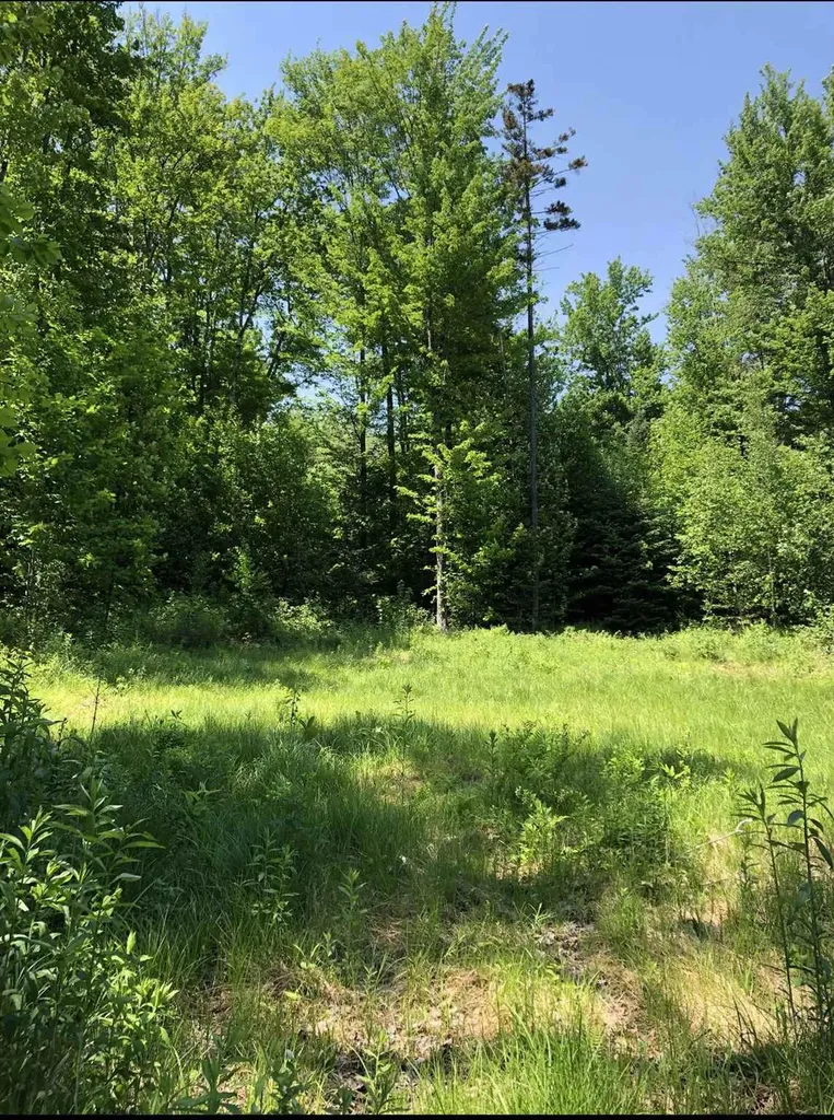 Vt Route 109 Belvidere VT 05442