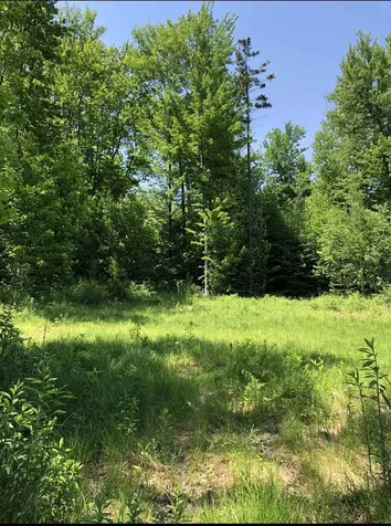 Vt Route 109 Belvidere VT 05442
