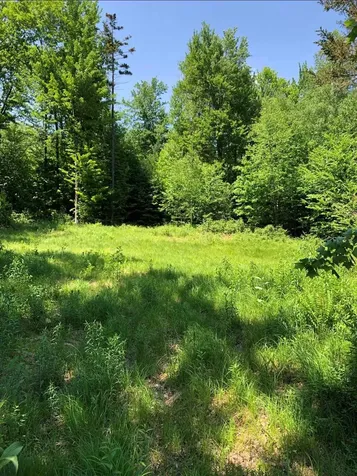Vt Route 109 Belvidere VT 05442