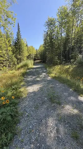 Old Franconia Road Bethlehem NH 03574
