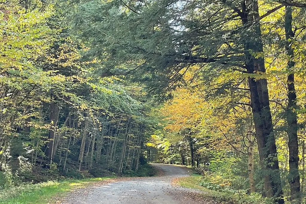 118 Montgomery Heights Road Montgomery VT 05471