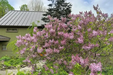 118 Montgomery Heights Road Montgomery VT 05471