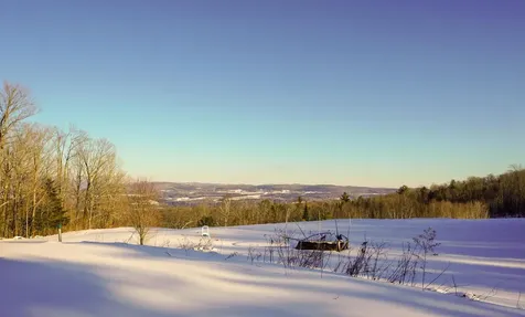 419 Cold Springs Road Williamstown VT 05679