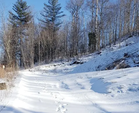 575 Railroad Street Johnson VT 05661