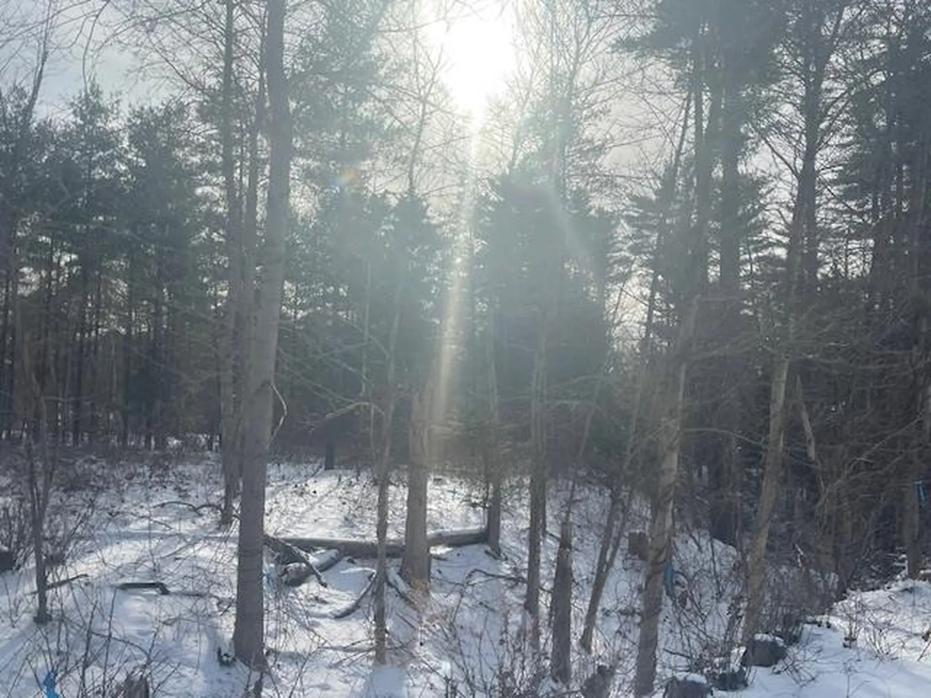 826-9-2 Cohas Avenue Manchester NH 03109