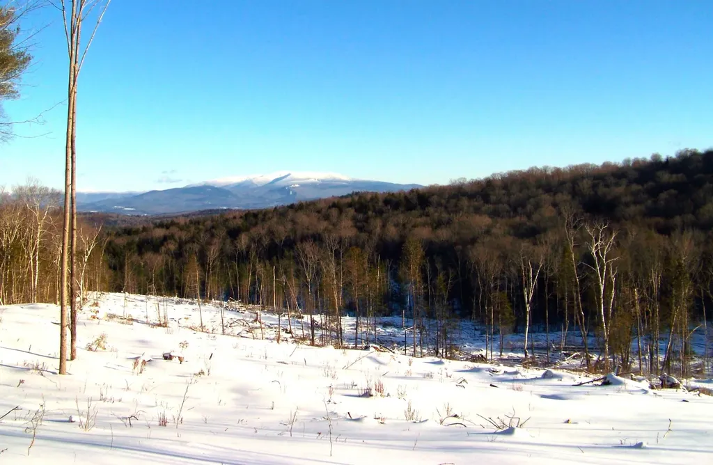 00 Emerson Road Topsham VT 05076