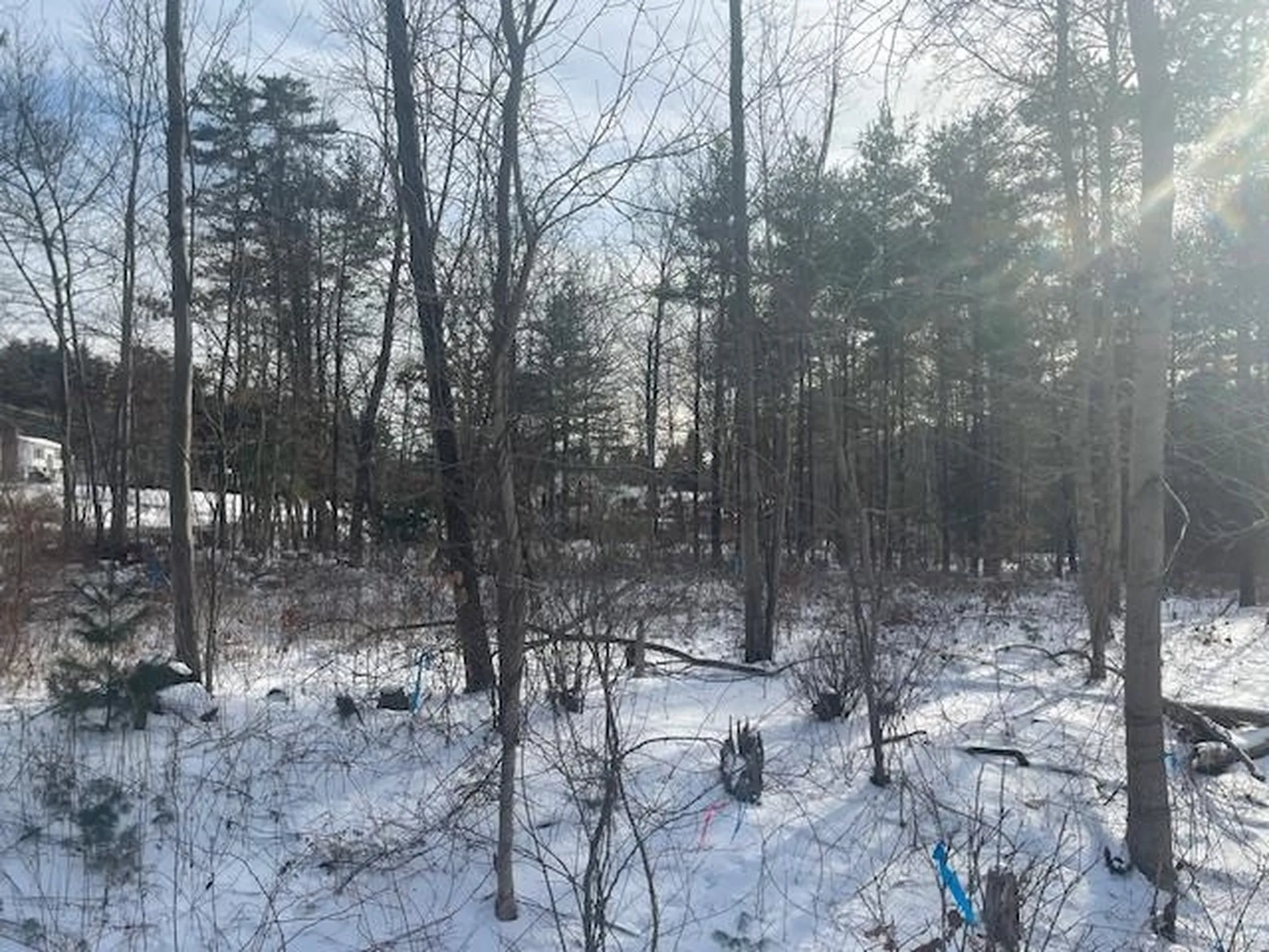 826-9-1 Cohas Avenue Manchester NH 03109