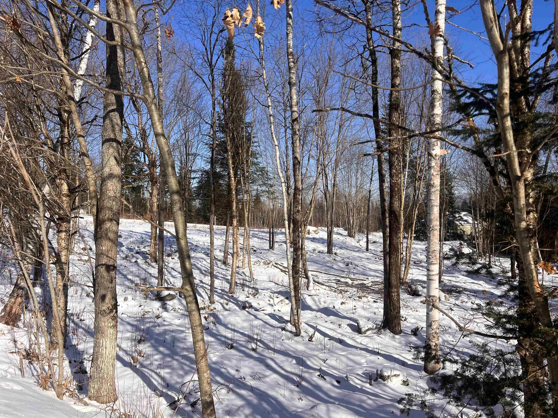 26 Mary Elizabeth Lane Lancaster NH 03584