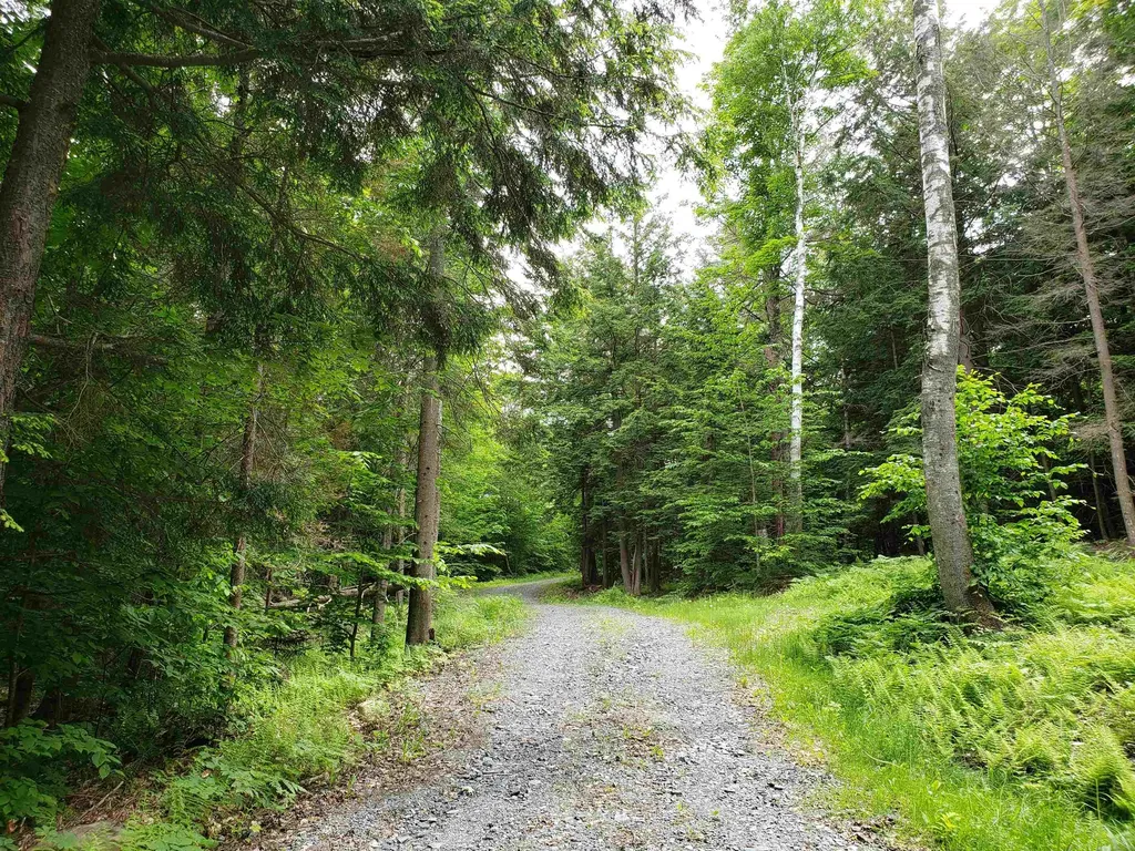 203 Pero Hill Road Thetford VT 05075