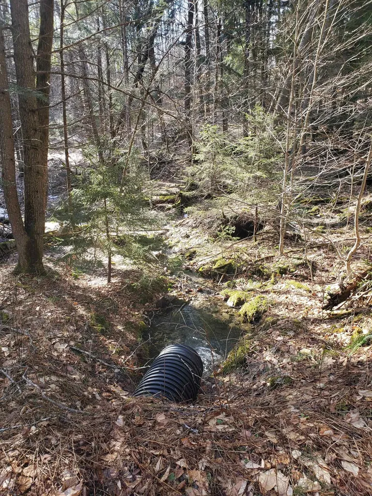 203 Pero Hill Road Thetford VT 05075