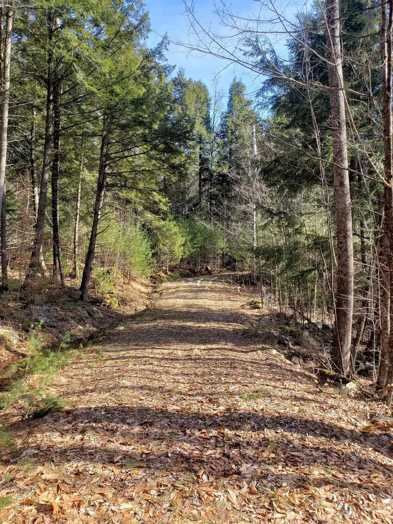 203 Pero Hill Road Thetford VT 05075