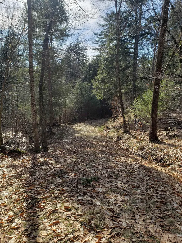 203 Pero Hill Road Thetford VT 05075