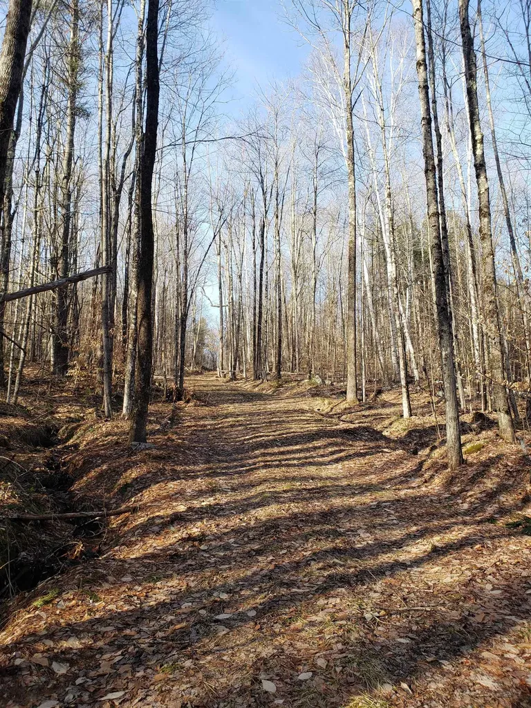 203 Pero Hill Road Thetford VT 05075