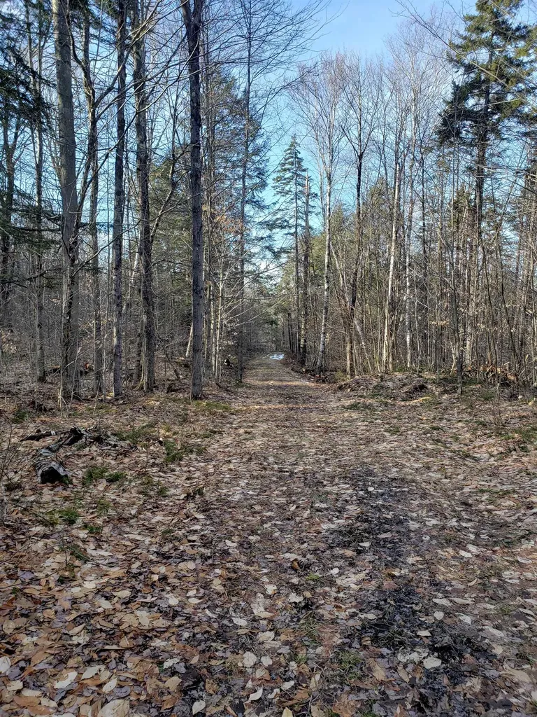 203 Pero Hill Road Thetford VT 05075