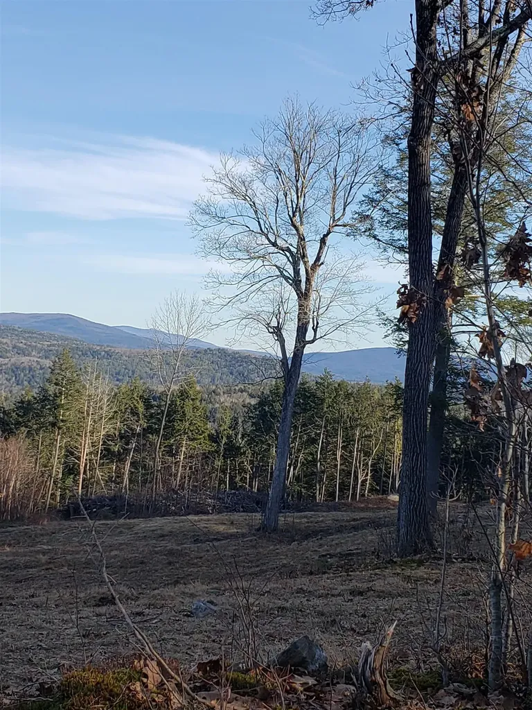 203 Pero Hill Road Thetford VT 05075