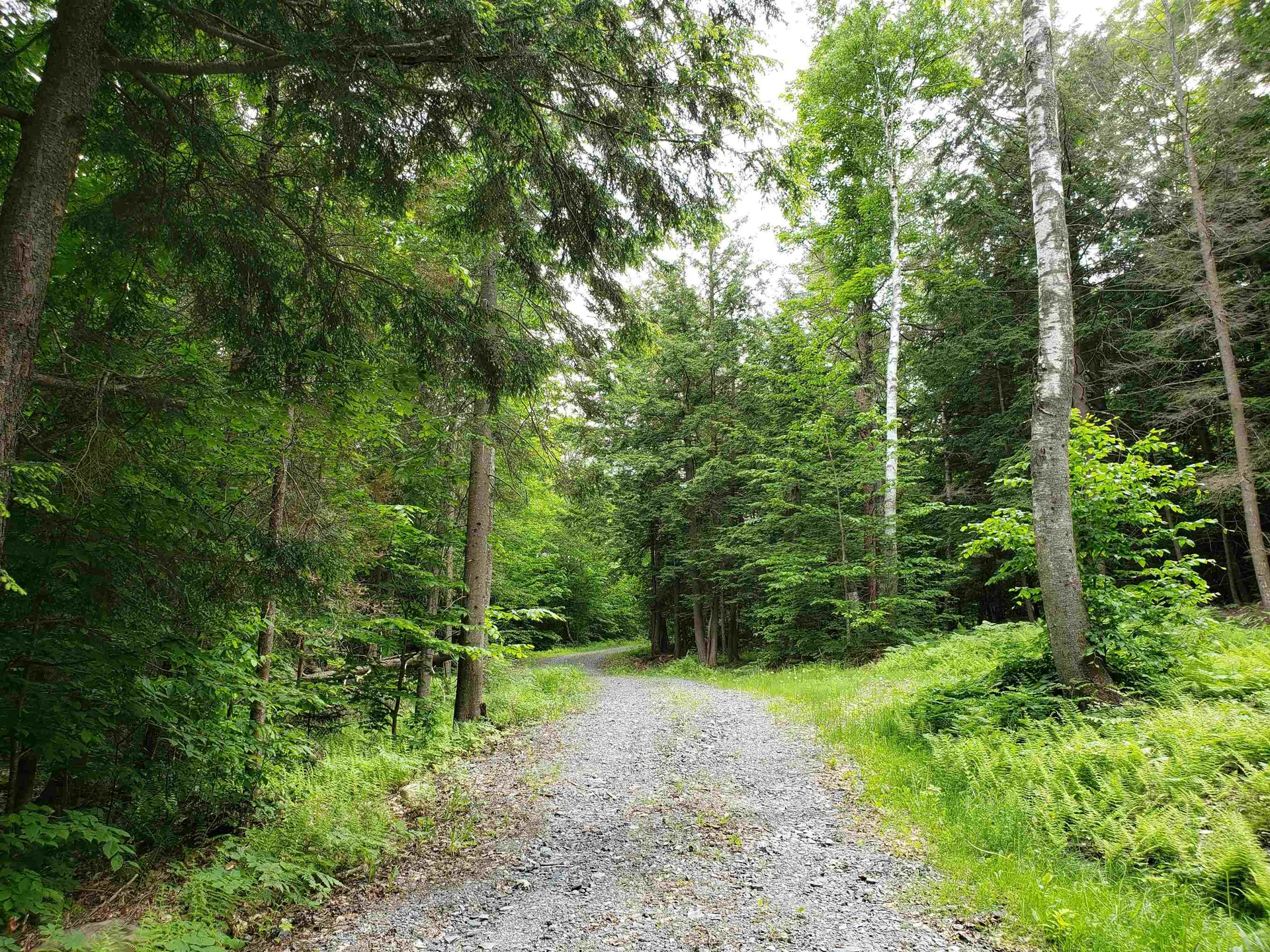 203 Pero Hill Road Thetford VT 05075