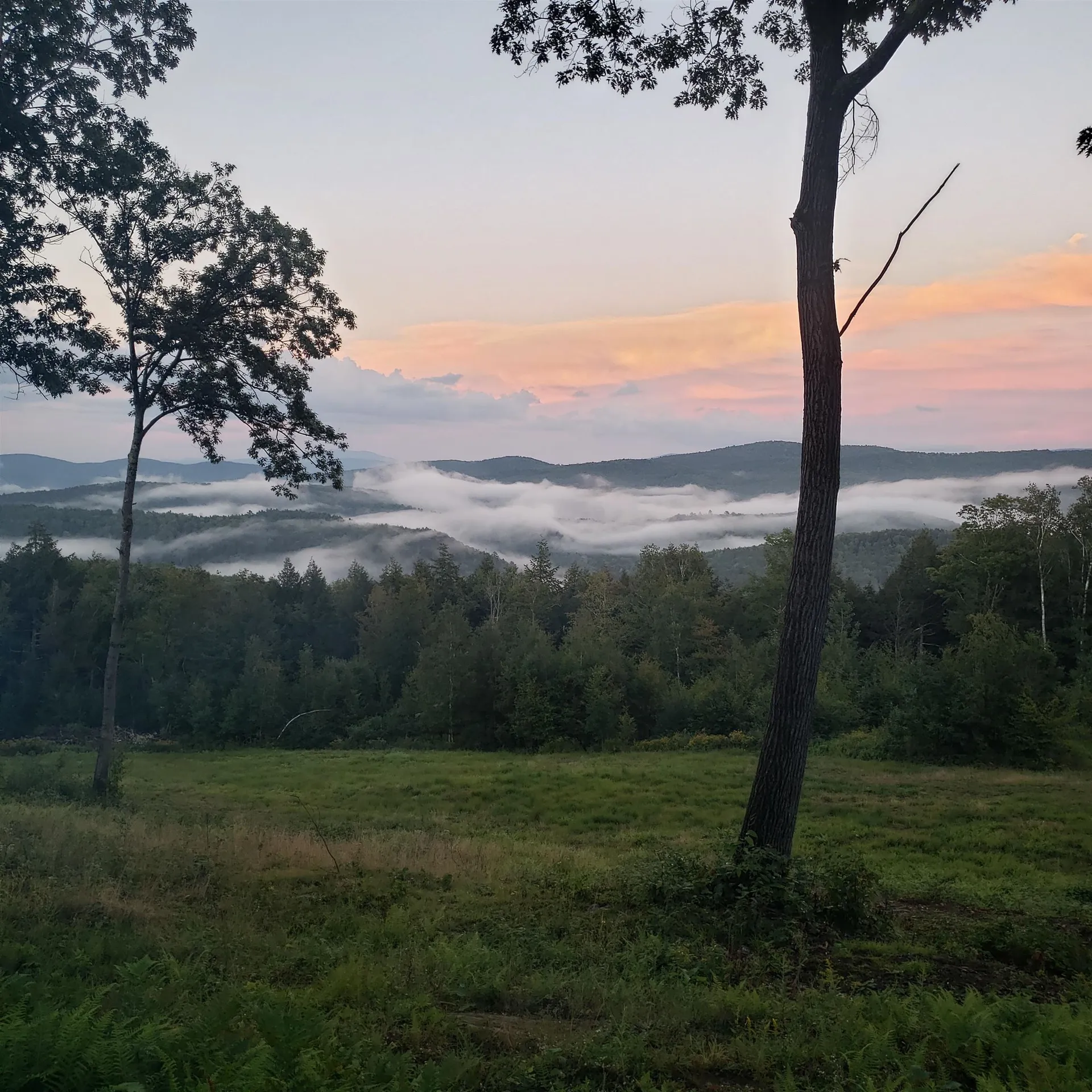 203 Pero Hill Road Thetford VT 05075