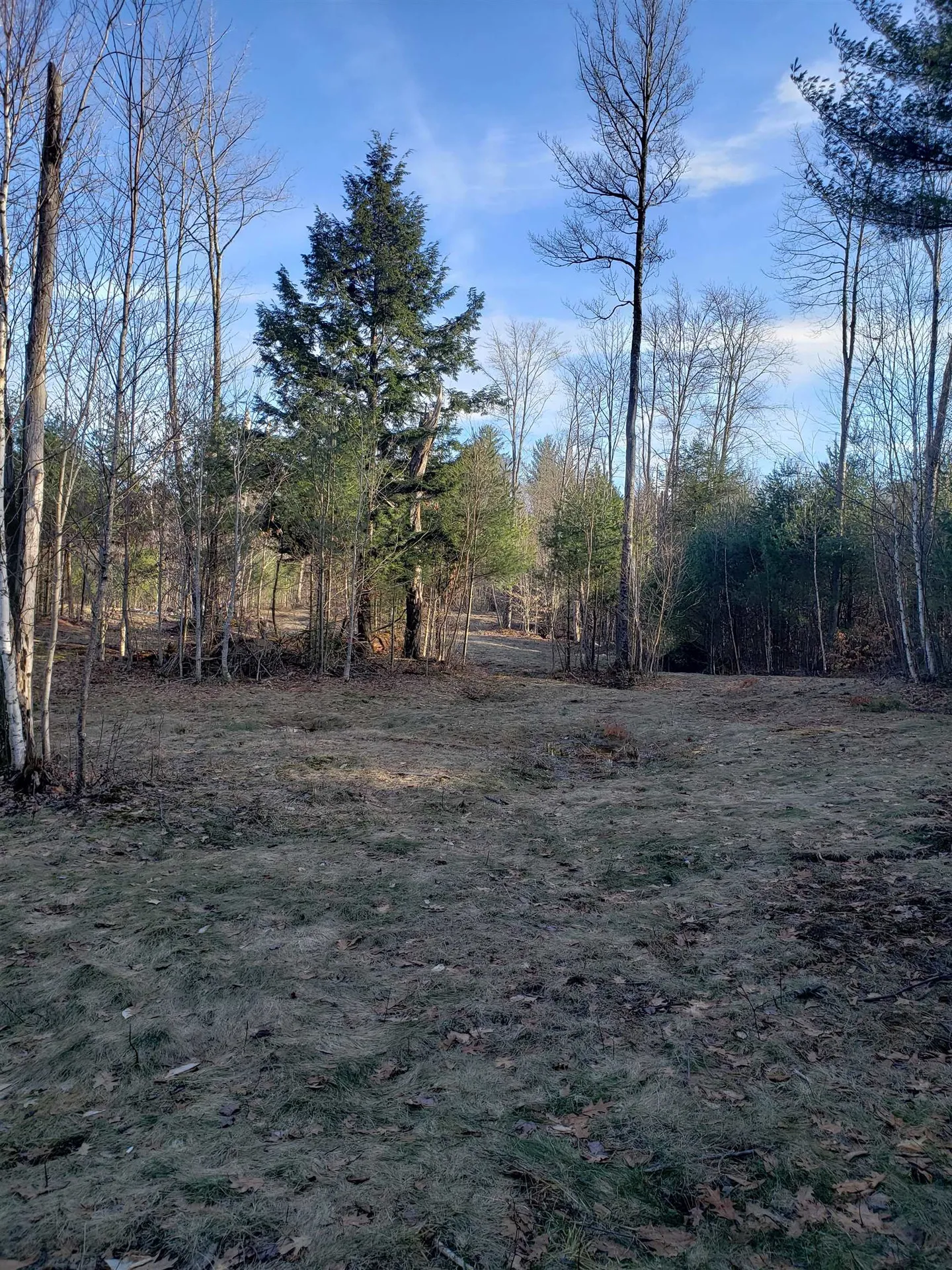 203 Pero Hill Road Thetford VT 05075