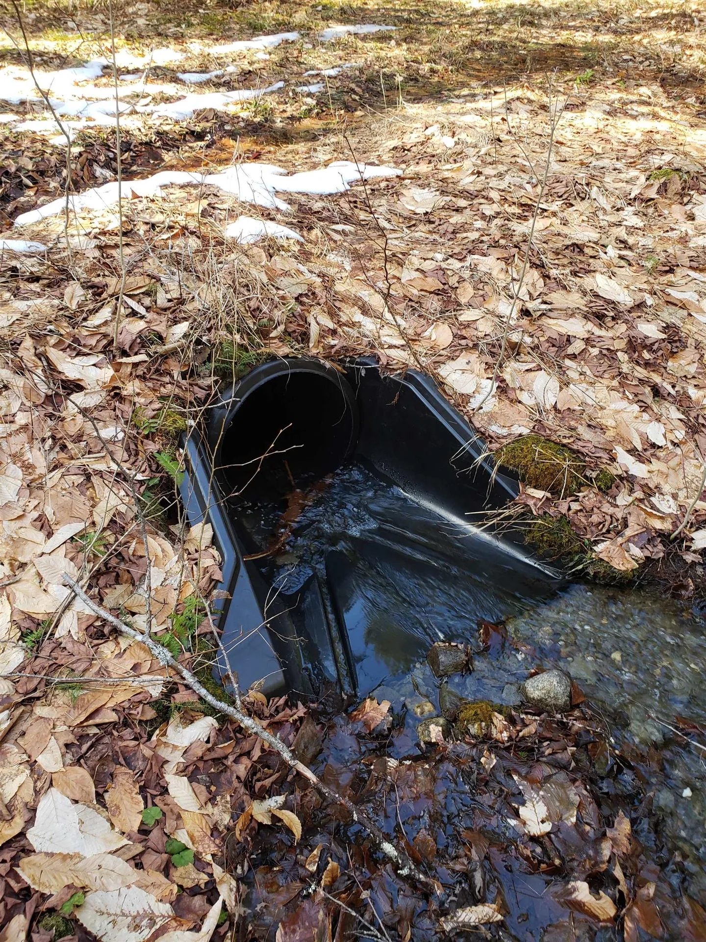 203 Pero Hill Road Thetford VT 05075