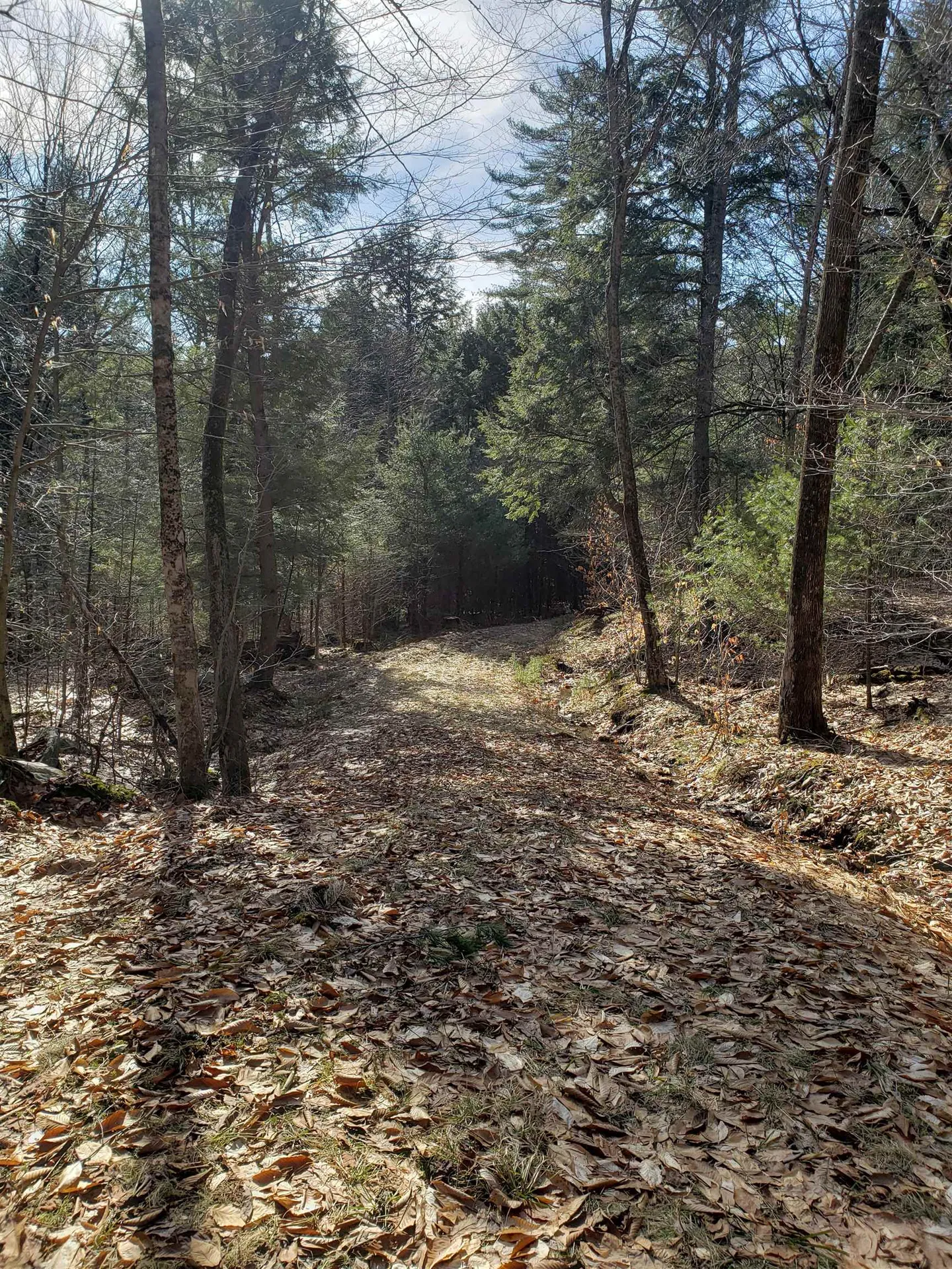 203 Pero Hill Road Thetford VT 05075