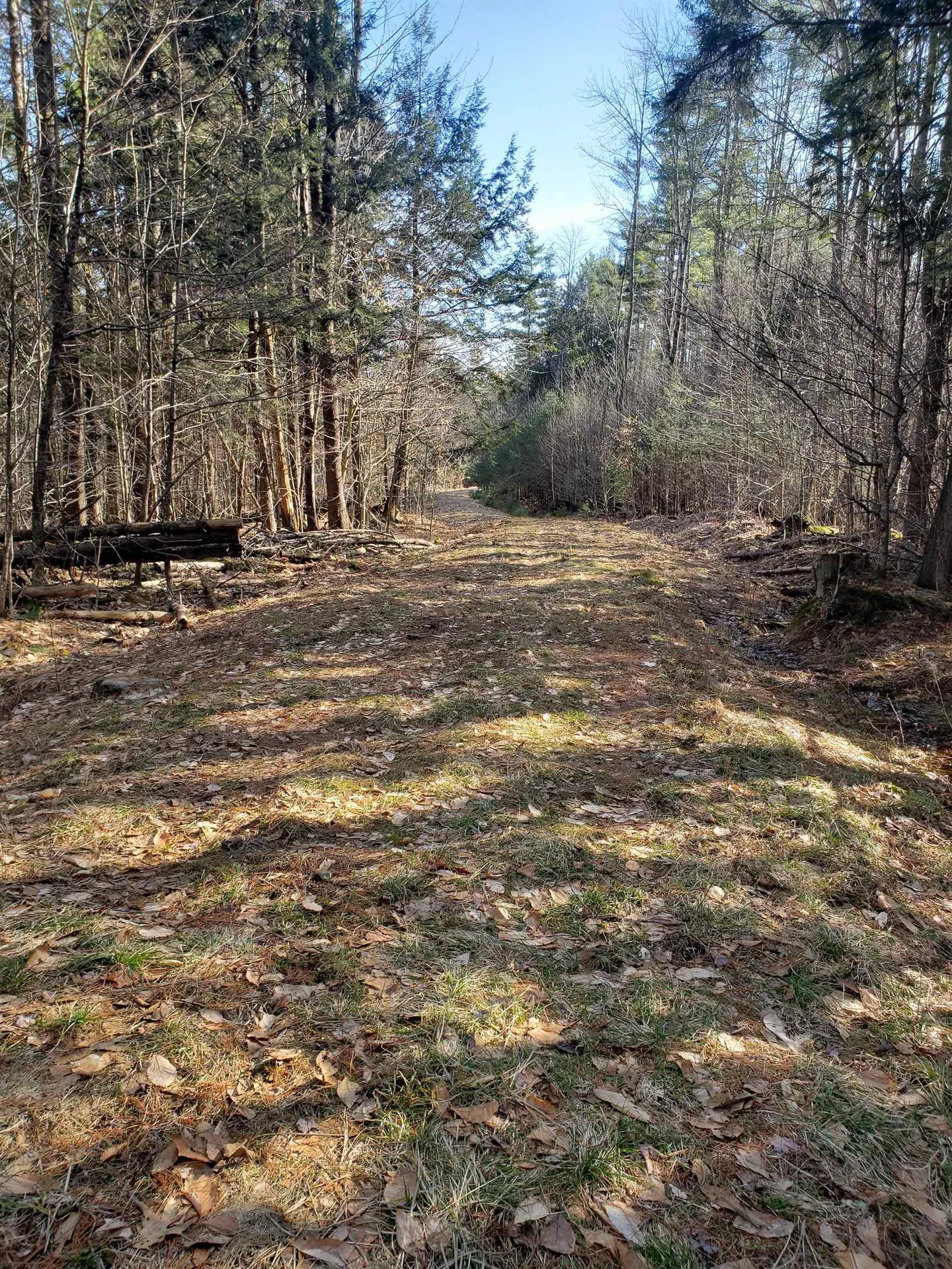 203 Pero Hill Road Thetford VT 05075