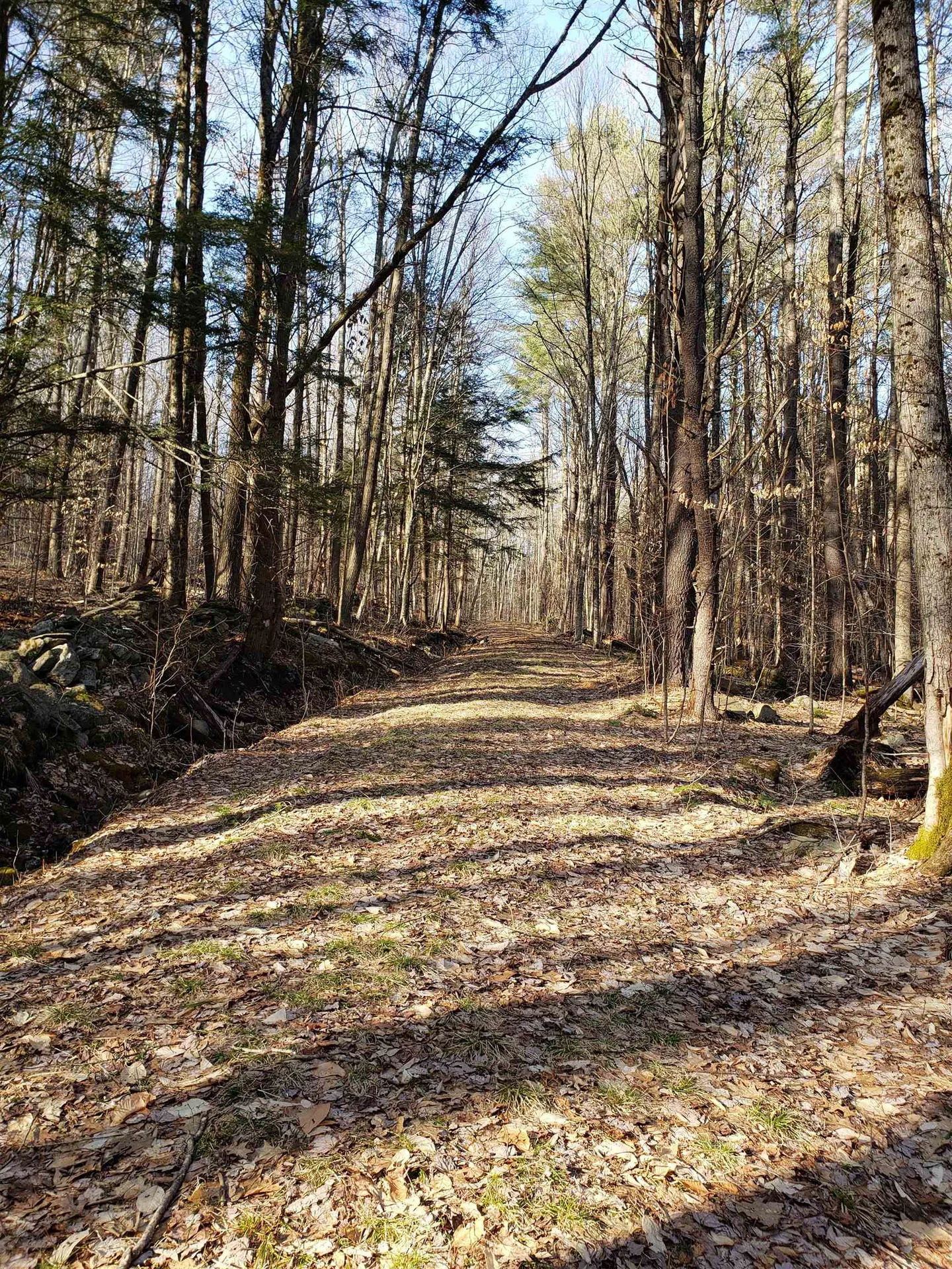 203 Pero Hill Road Thetford VT 05075