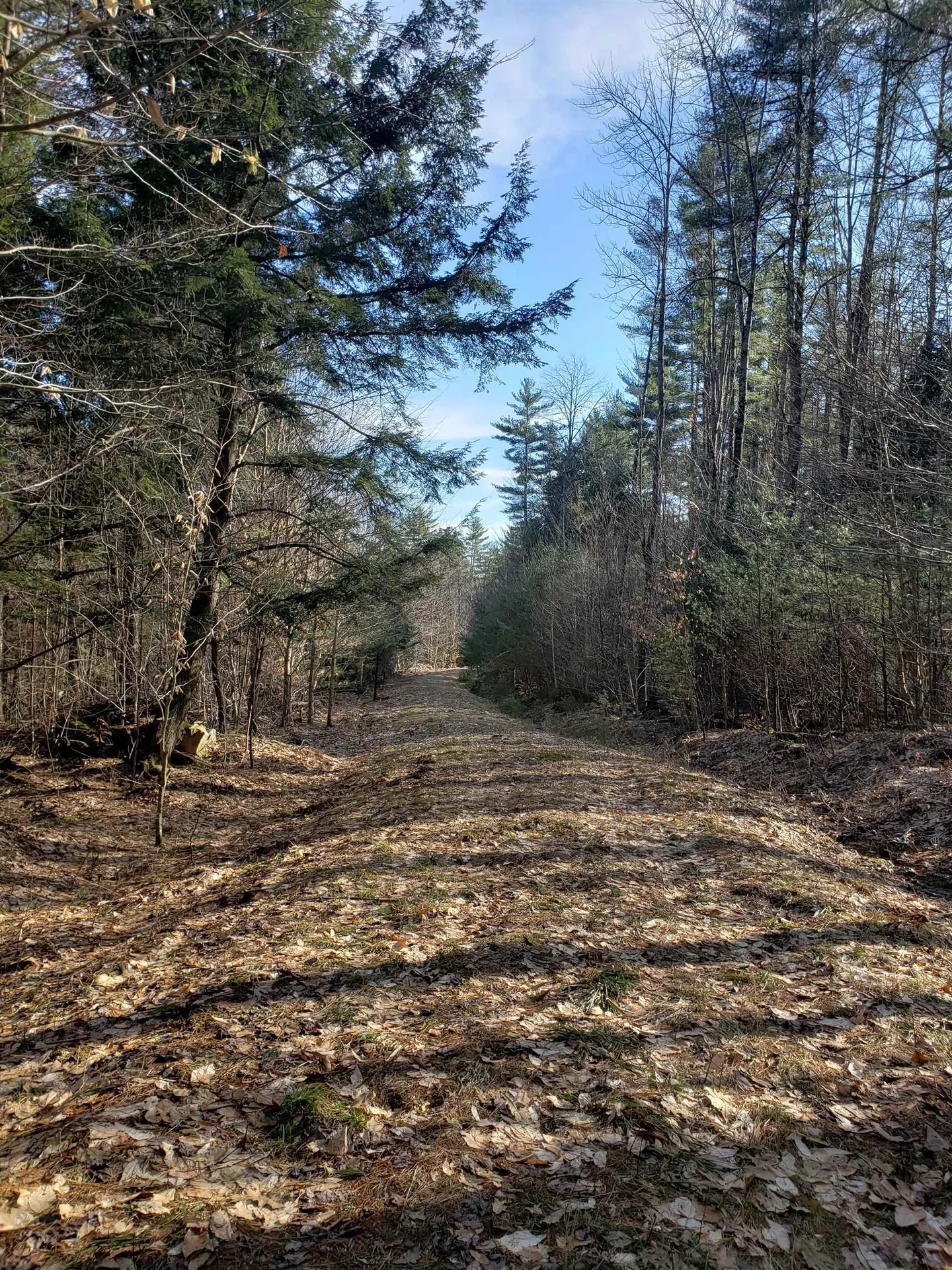 203 Pero Hill Road Thetford VT 05075