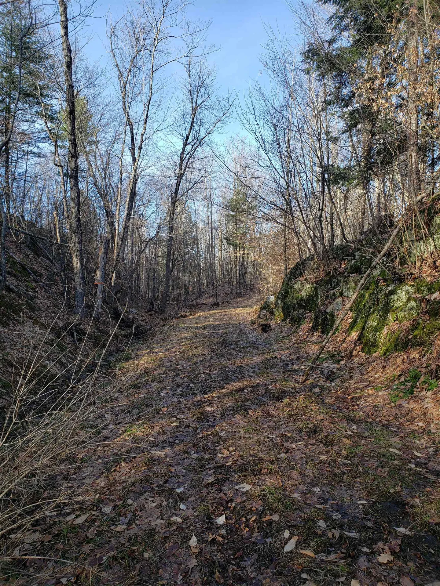 203 Pero Hill Road Thetford VT 05075