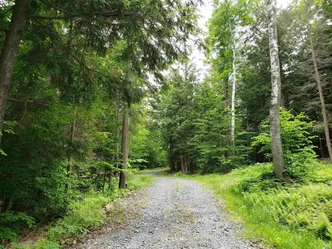 203 Pero Hill Road Thetford VT 05075