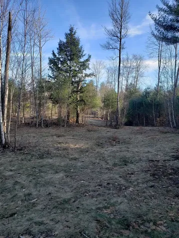 203 Pero Hill Road Thetford VT 05075