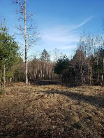 203 Pero Hill Road Thetford VT 05075