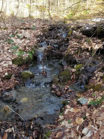 203 Pero Hill Road Thetford VT 05075