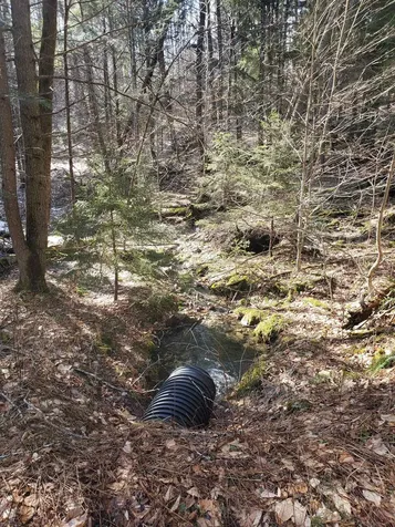 203 Pero Hill Road Thetford VT 05075