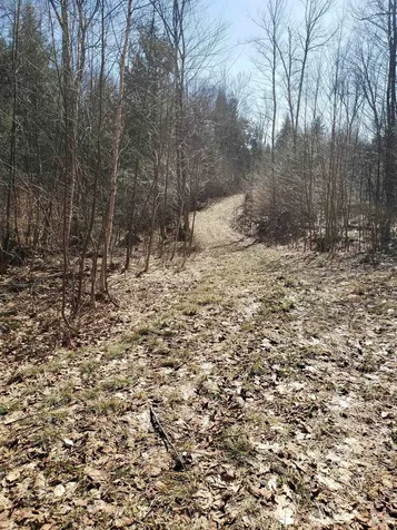 203 Pero Hill Road Thetford VT 05075