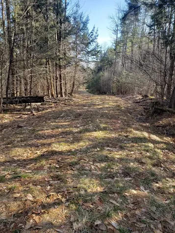 203 Pero Hill Road Thetford VT 05075