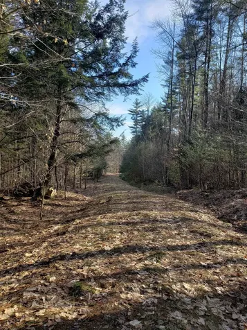 203 Pero Hill Road Thetford VT 05075