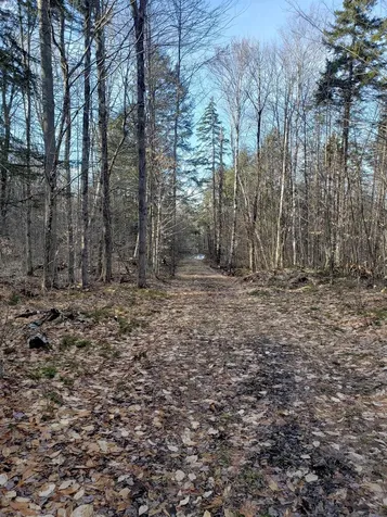 203 Pero Hill Road Thetford VT 05075