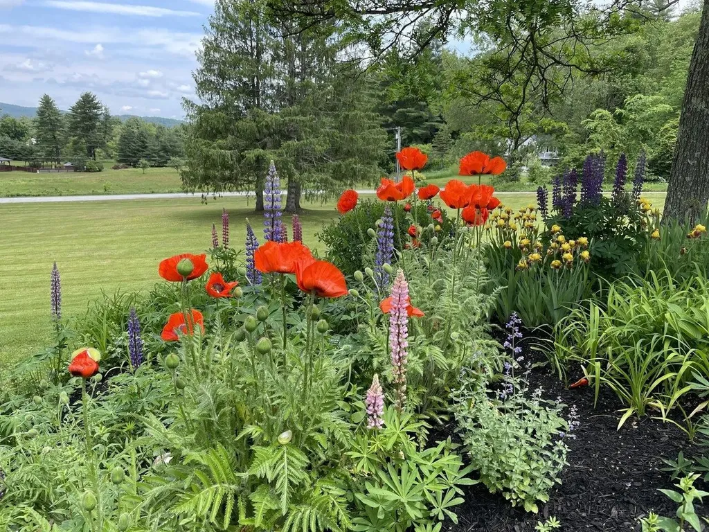 24 Snowdrift Lane Stowe VT 05672